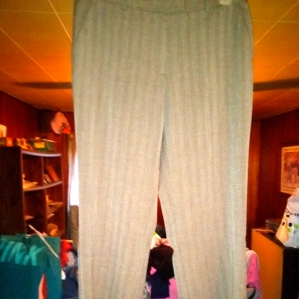 BRIGGS NEW YORK size 10 dress pants